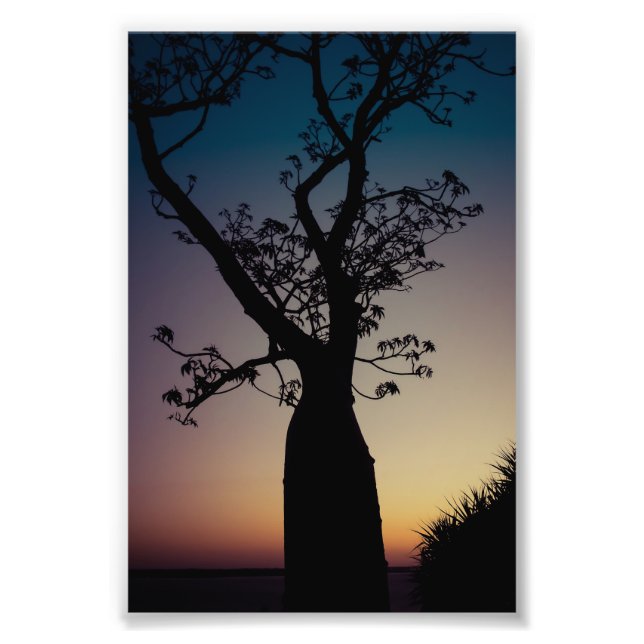 Foto Silhouette de árbol de boab en la impresión fotogr (Frente)