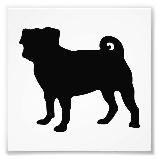 Foto Silhouette de Pug Negro - Diseño de vectores simpl (Frente)