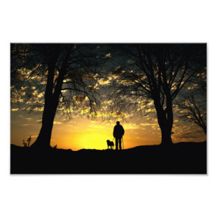 Foto Silueta de árbol de hombre y perro al atardecer