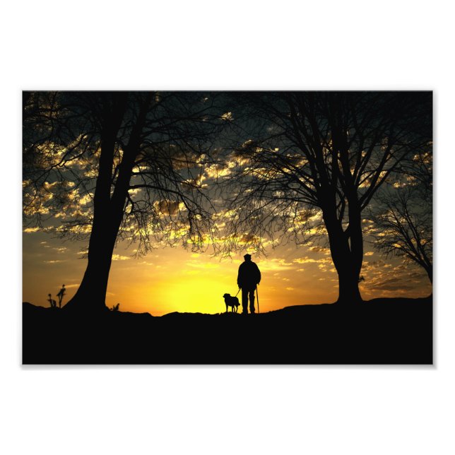 Foto Silueta de árbol de hombre y perro al atardecer (Frente)