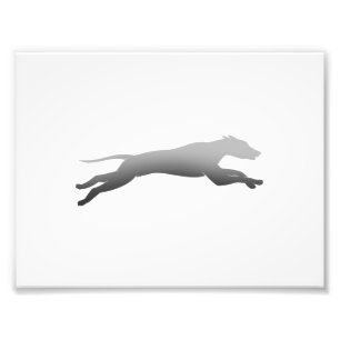 Foto Silueta de ejecución de Whippet