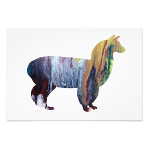 Foto Silueta de la alpaca