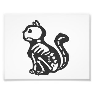 Foto Silueta de personalizado de esqueleto de gato - El