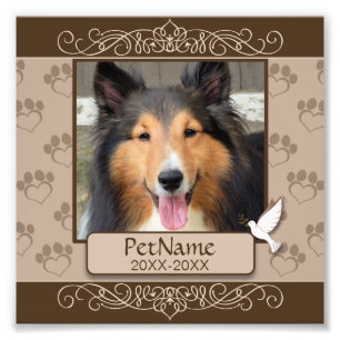 Foto Simpatía con el Mascota Personalizado de Brown Cal