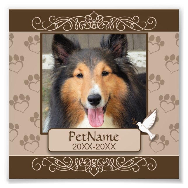 Foto Simpatía con el Mascota Personalizado de Brown Cal (Frente)