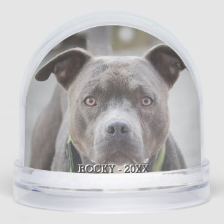 Foto simple de Bulldog de foso Personalizado