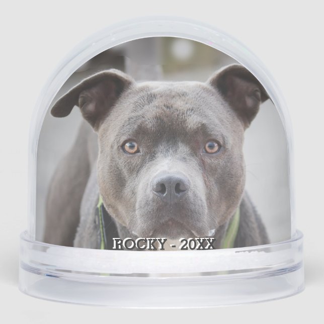 Foto simple de Bulldog de foso Personalizado (Anverso)