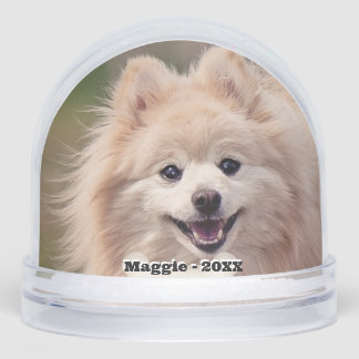 Foto simple de perro de Personalizado Pomerania
