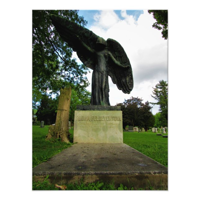 FOTO "SIN SANGRE" (Frente)