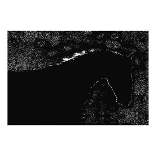 Foto Sinfonía Equina Crepuscular