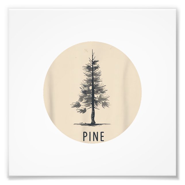 Foto Single Pine Tree Outfit (Frente)