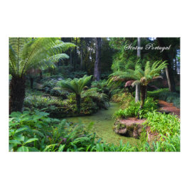 Foto Sintra Portugal