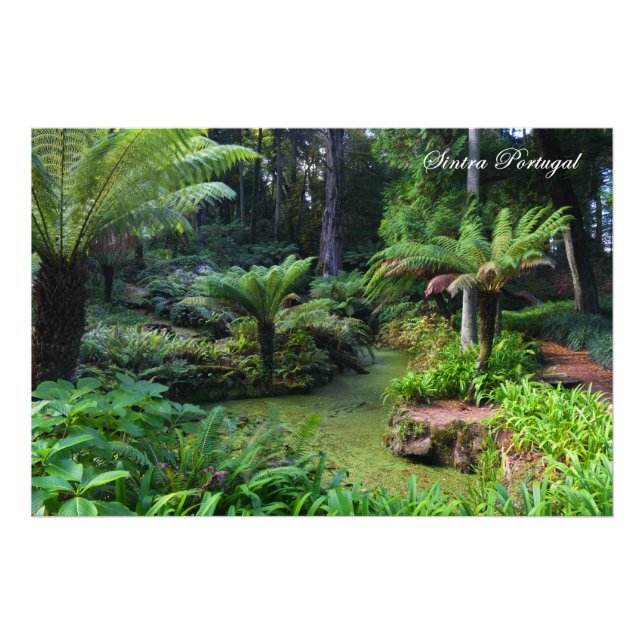 Foto Sintra Portugal (Frente)