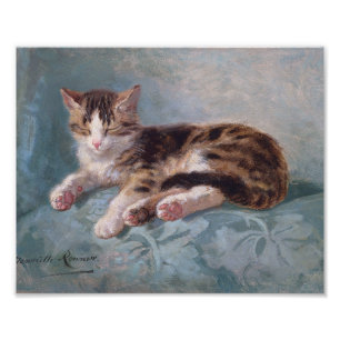 Foto Sleepy Kitten por Henriette Ronner-Knip