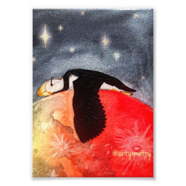 Foto Sleepy Puffin