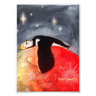 Foto Sleepy Puffin