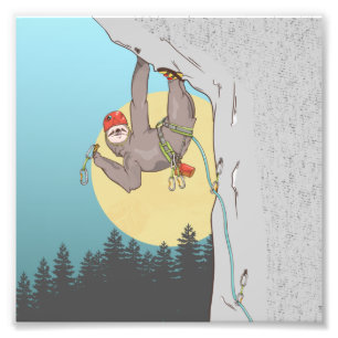 Foto Sloth Rock climbing