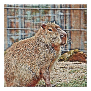 Foto SmartMix Animal- Capibara