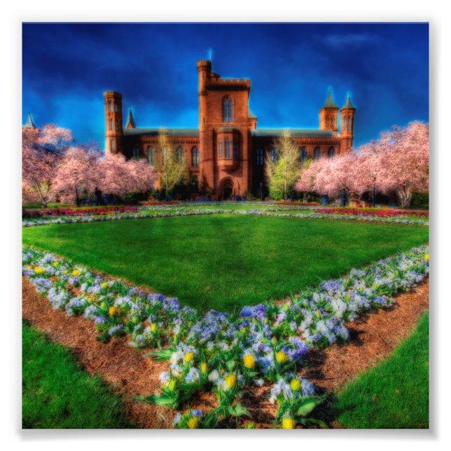 Foto Smithsonian Castle Garden Cherry Blossoms (Frente)