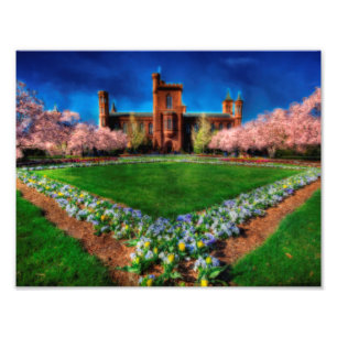 Foto Smithsonian Castle Garden Cherry Blossoms