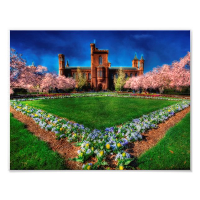 Foto Smithsonian Castle Garden Cherry Blossoms (Frente)