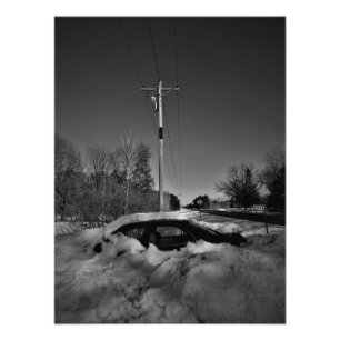 Foto "Snowbound"