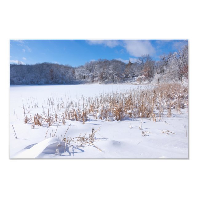 Foto Snowy Marthaler Pond Winter Scenic (Frente)
