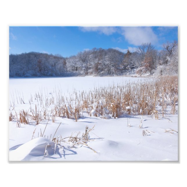 Foto Snowy Marthaler Pond Winter Scenic (Frente)