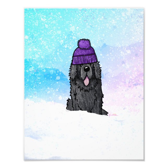 Foto Snowy Newfoundland (Frente)