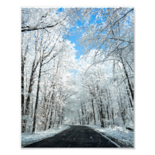 Foto Snowy Winter Road Scene