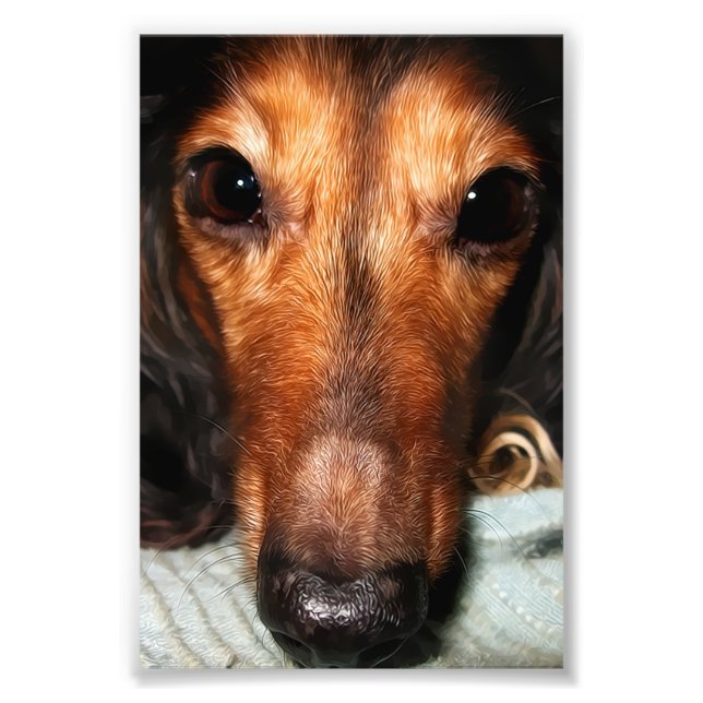 Foto Snuggle Bugs Mackenzie (Frente)