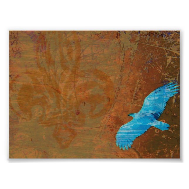 Foto Soar Grunge (Frente)