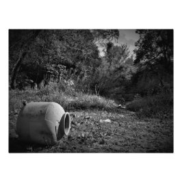 Foto "Sobre tierras desechadas"