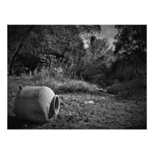 Foto "Sobre tierras desechadas"