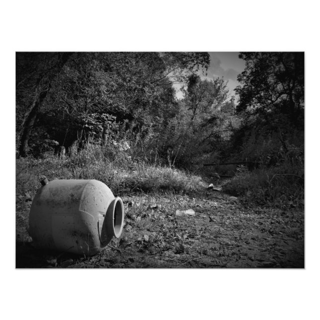 Foto "Sobre tierras desechadas" (Frente)