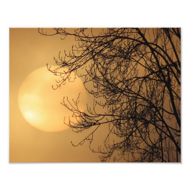 Foto Sol de primera hora de la mañana (Frente)