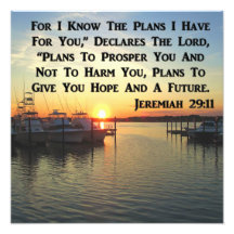 SOL TRANQUILO EN EL LAGO