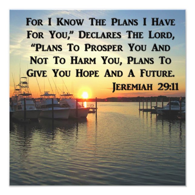 FOTO SOL TRANQUILO EN EL LAGO (Frente)