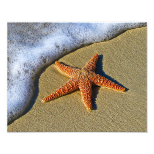 Foto Solas estrellas de mar en la playa