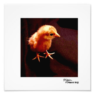 Foto Solitario Kid