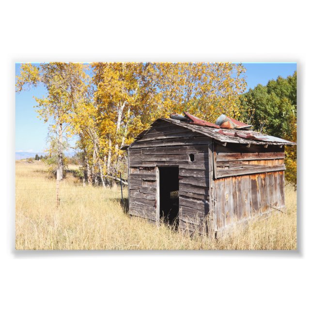 Foto Solitario Little Shed (Frente)