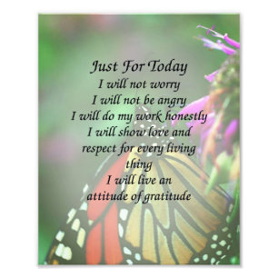 Foto Sólo para la mariposa monarca de hoy Inspiradora