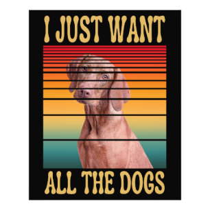 FOTO SOLO QUIERO TODOS LOS PERROS