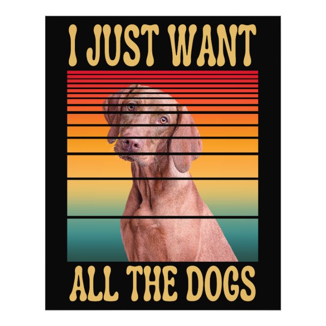 FOTO SOLO QUIERO TODOS LOS PERROS (Frente)
