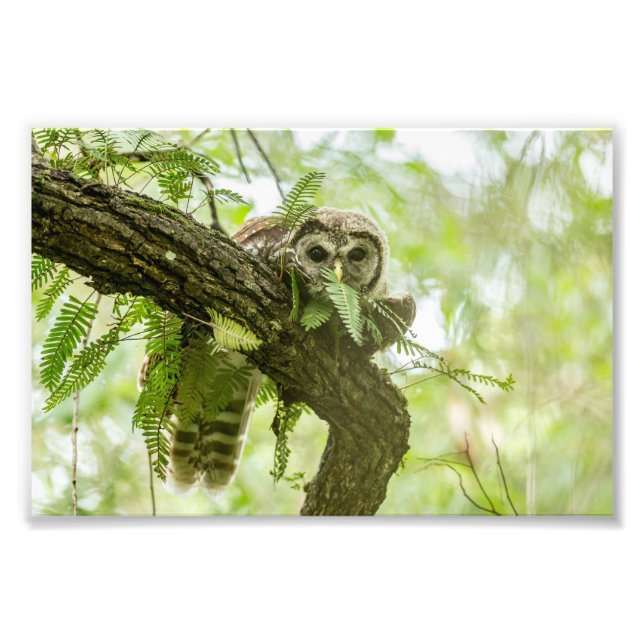 Foto Sólo un vistazo (Frente)