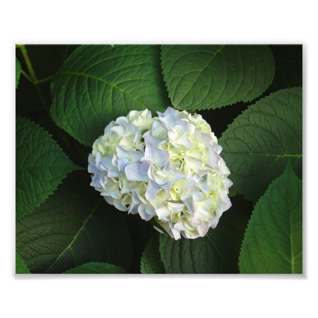 Foto ¡Sólo WOW! (Frente)