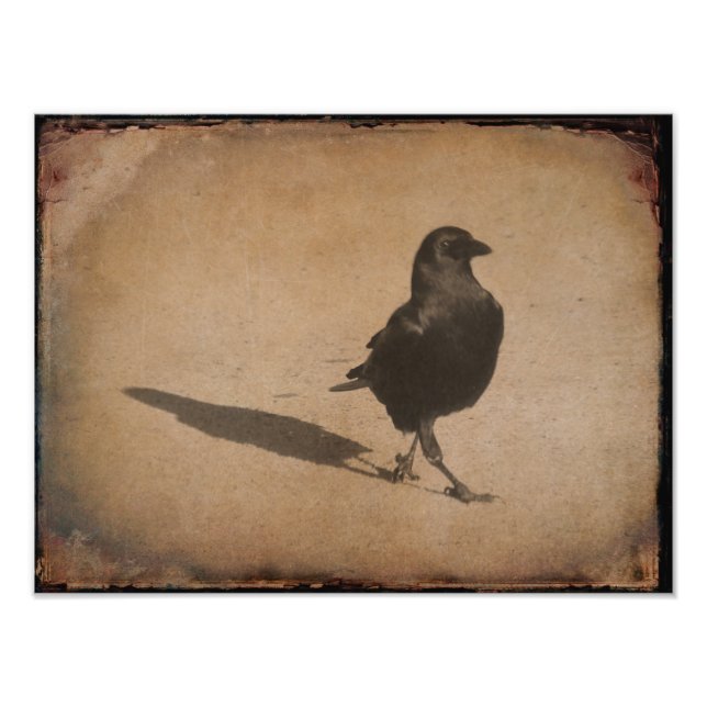 Foto Sombra (Frente)