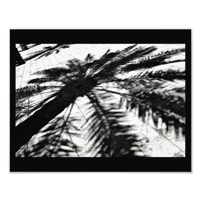 Foto Sombra de árbol de fechas (Frente)