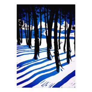 Foto Sombras de Bosque Invernal – Naturaleza Mínima Azu