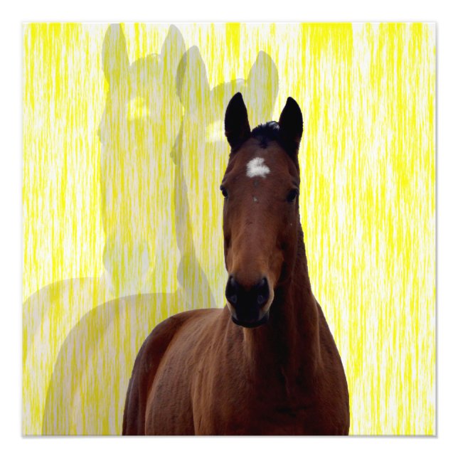 Foto Sombras de caballo de castaño, (Frente)